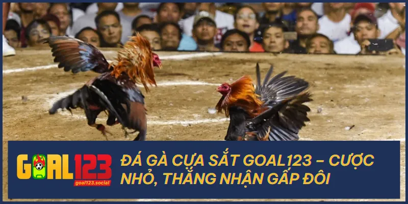 Đá Gà Cựa Sắt Goal123 – Cược Nhỏ, Thắng Nhận Gấp Đôi 6 Đá Gà Cựa Sắt Goal123 – Cược Nhỏ, Thắng Nhận Gấp Đôi