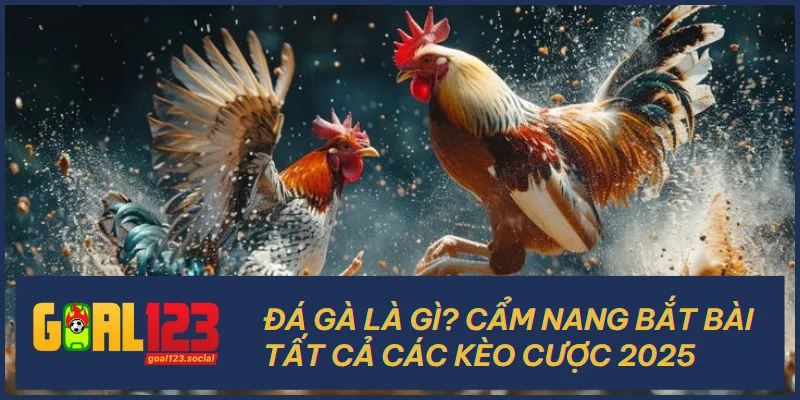 Đá Gà Là Gì? Cẩm Nang Bắt Bài Tất Cả Các Kèo Cược 2025 2 Đá Gà Là Gì? Cẩm Nang Bắt Bài Tất Cả Các Kèo Cược 2025