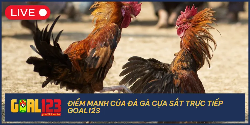 Chơi đá gà cựa sắt tại Goal123, bạn sẽ nhận về những chính sách hấp dẫn
