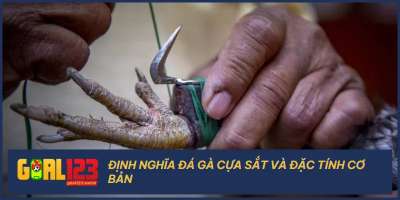 Đá gà cựa sắt là hình thức thi đấu có vũ khí cựa sắt và những bước ra đòn quyết liệt