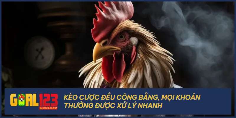 Các loại kèo cung cấp cho người chơi được cập nhật rõ ràng, cụ thể