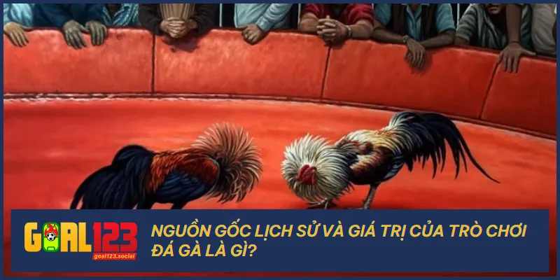Tìm hiểu đá gà là gì? Lịch sử lâu đời và giá trị văn hóa đặc sắc của bộ môn này