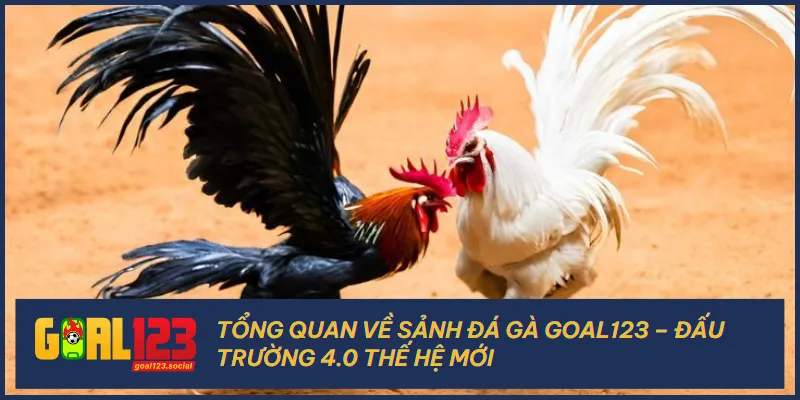 Sảnh đá gà Goal123 luôn cập nhật những công nghệ ưu việt mới